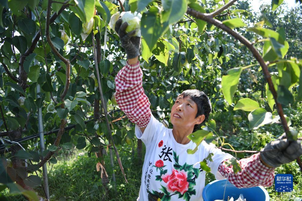 送彩金软件合集
